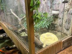 -上海大自然野生昆虫馆(东方明珠·爬宠昆虫探索中心)