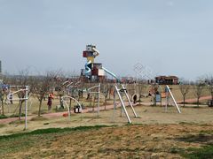 -红山体育乐园