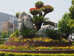 景点-七宝老街-闵行市民文化广场