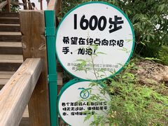 -大岭沟猕猴桃谷风景区