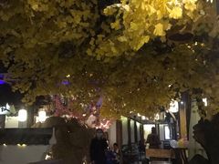 -淀里船宴(裕华东路店)