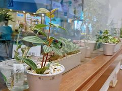 -流酥可心·牛乳蛋糕商店(禾祥西路店)