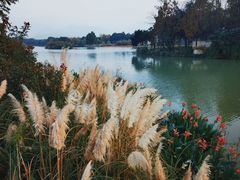 -三垟湿地