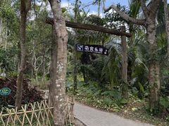 -呀诺达热带雨林