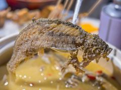 -金龙·打边炉(南京西路店)