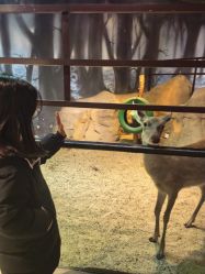 -酷嗒动物文化乐园(cutezoo西溪乐天城店)