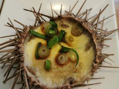 -海胆小馆(东北水饺·春柳店)