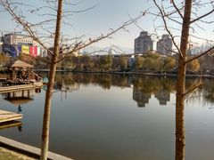 -雁滩公园