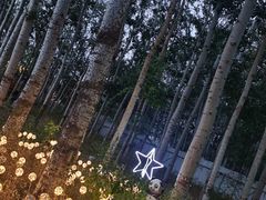 -枫花园汽车电影院(朝阳公园店)