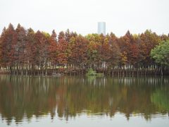 -厦门园林博览苑