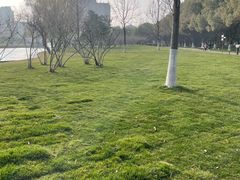 -中央公园(苏州工业园区)