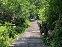 -王顺山国家森林公园