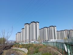 -园博园(地铁站)