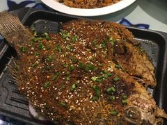 -撒拉花儿·新疆菜·清真(太阳宫店)