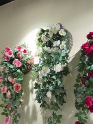 -变美丽半永久纹眉连锁·机器野生眉•洗眉