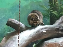 -福州罗源湾海洋世界旅游区