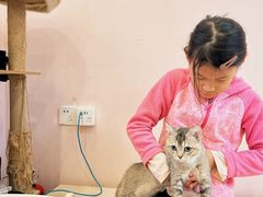 -猫咪派对(江南西店)