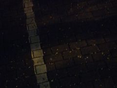 -我的中国梦证照摄影