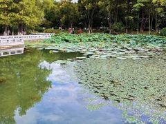 -白塘生态植物园
