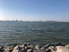 -南汇嘴观海公园