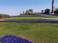 -南通洲际绿博园