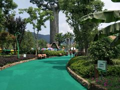 -苏州乐园森林水世界