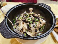 -阳江餐厅·30年老字号·粤菜海鲜大排档