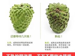 -沈阳市八家子水果批发市场