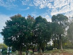 -盘龙城国家考古遗址公园