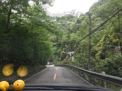-凤栖山