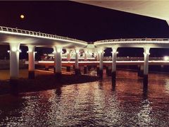 -演武大桥观景平台