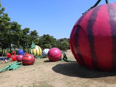 -琅岐红光湖公园
