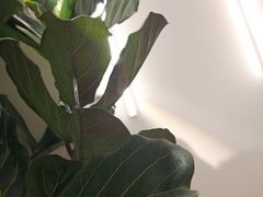 -喜茶(中山白水井店)