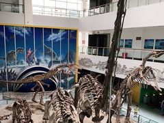 -中国地质大学逸夫博物馆