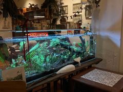 -懒鱼时光馆(沙坪坝店)