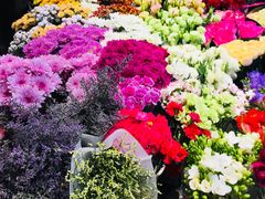 -双季花艺园艺市场(浦东店)