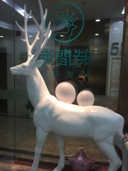 点击看大图 -时间海科学美容