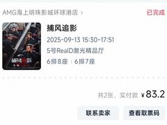 -AMG海上明珠影城(上海环球港RealDCinema店)
