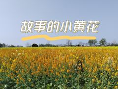 -中国天府农业博览园