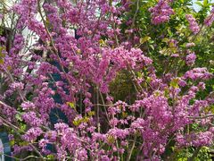 -蟠龙天地-P2停车场