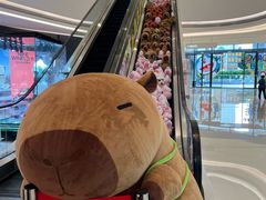 -周黑鸭(珠海香洲区摩尔广场店)