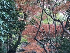 -上海市龙华烈士陵园