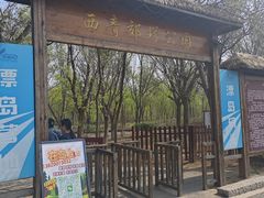 -西青郊野公园
