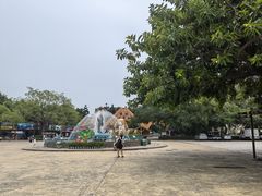 -深圳野生动物园