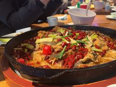 -老板恋上鱼(高新万达店)