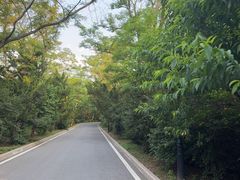 -棒棰岛宾馆景区