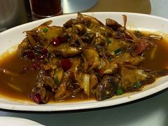 红烧虎头鱼-金海湾海鲜排档(朱家尖店)