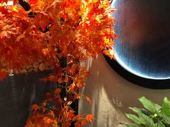 -先机®·泉水鸡汤(七星岗店)
