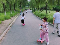 -北京麋鹿生态实验中心