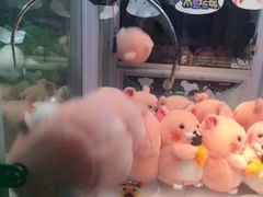 -PAWTOY爪e玩偶店(天兴罗斯福店)